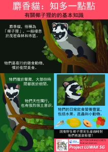 Civet Infographic 1 - Chinese
