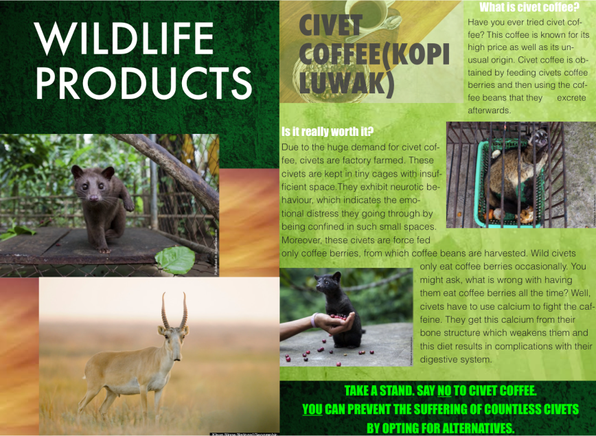 Pamphlet on wildlife products done by the students (page 1).